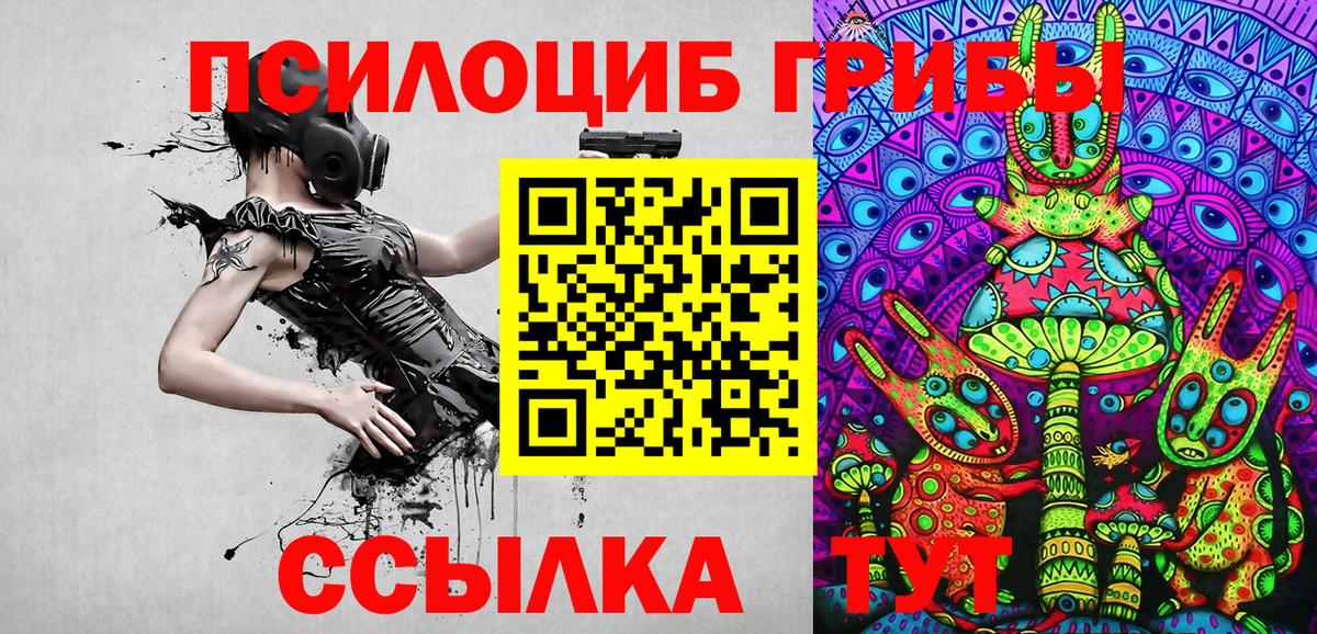 Кирово-Чепецк  Псилоцибиновые грибы Psilocybe  Галлюциногенные грибы ЛСД  Вход с VPN 