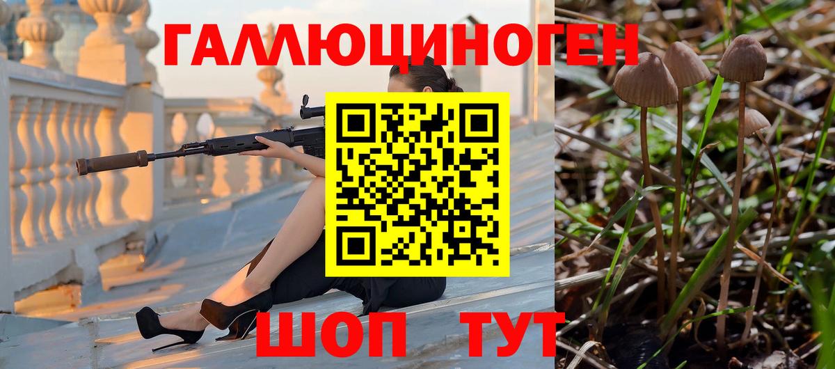 Галлюциногенные грибы Psilocybine cubensis Кирово-Чепецк